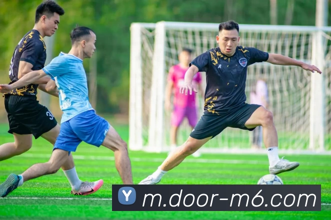 App Interface Preview